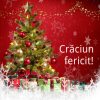 felicitari craciun (2)