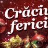 felicitari craciun (2)